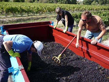 Château Vieux Moulin, Listrac, Cru Bourgeois